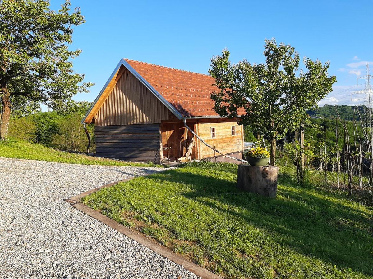 Rooms & Wine Lilek Sentilj Exterior foto